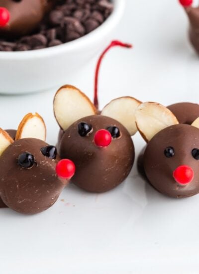 Three Chocolate Cherry Mice lined up and ready to eat!