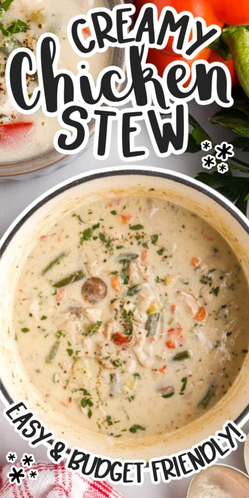 Pot filled with Creamy Chicken Stew, with text overlay.