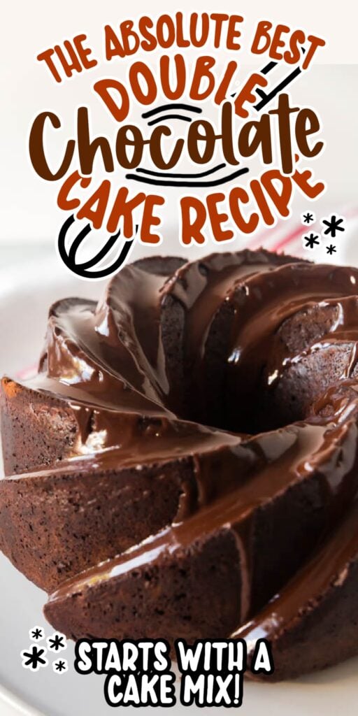 Double Chocolate Fudge Cake with text overlay.