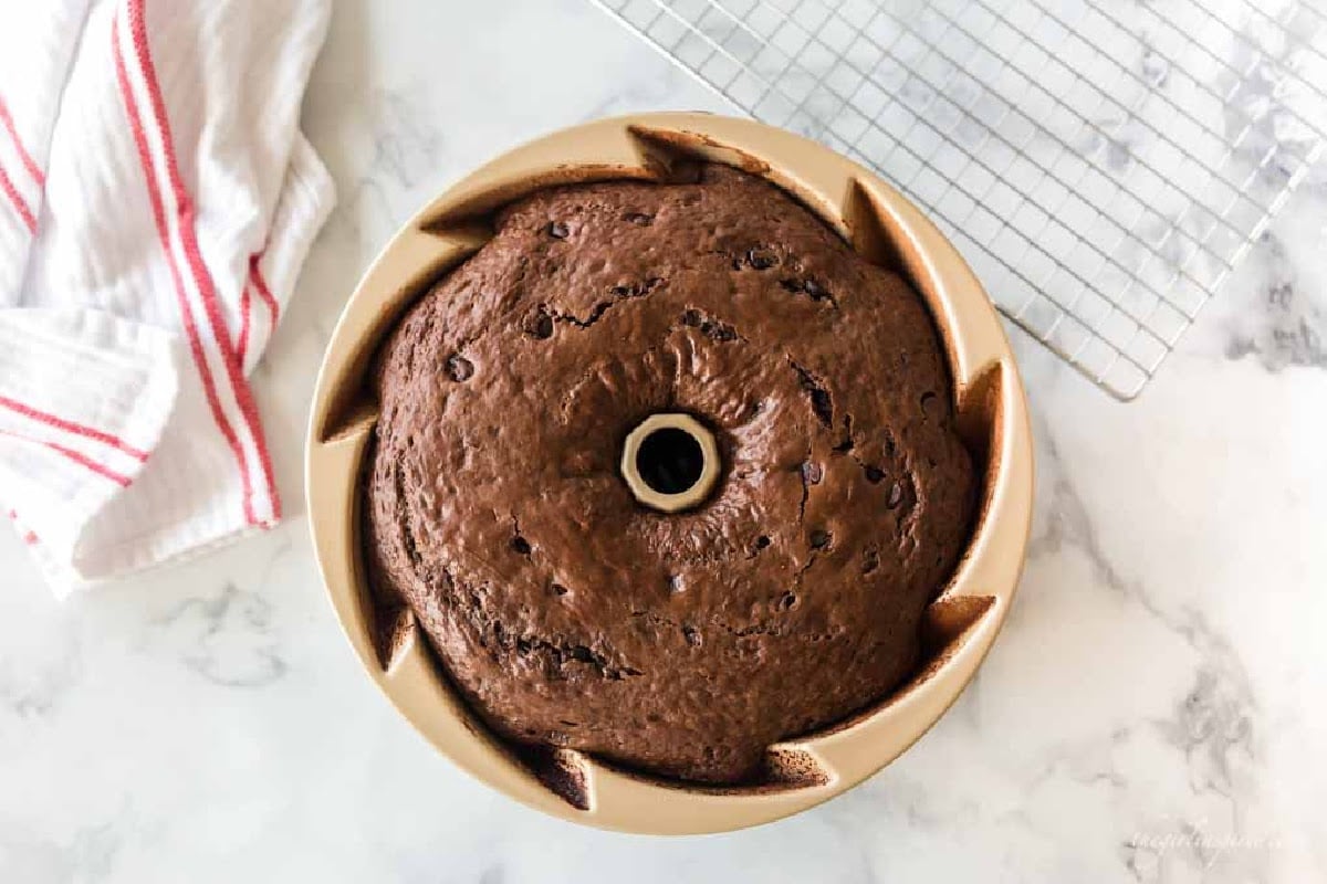 Double Chocolate Fudge Cake in a bundt pan.