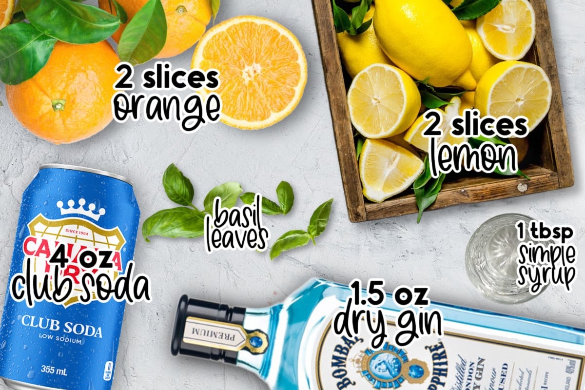 Ingredients needed to make Orange Gin Cocktail with text overlay.
