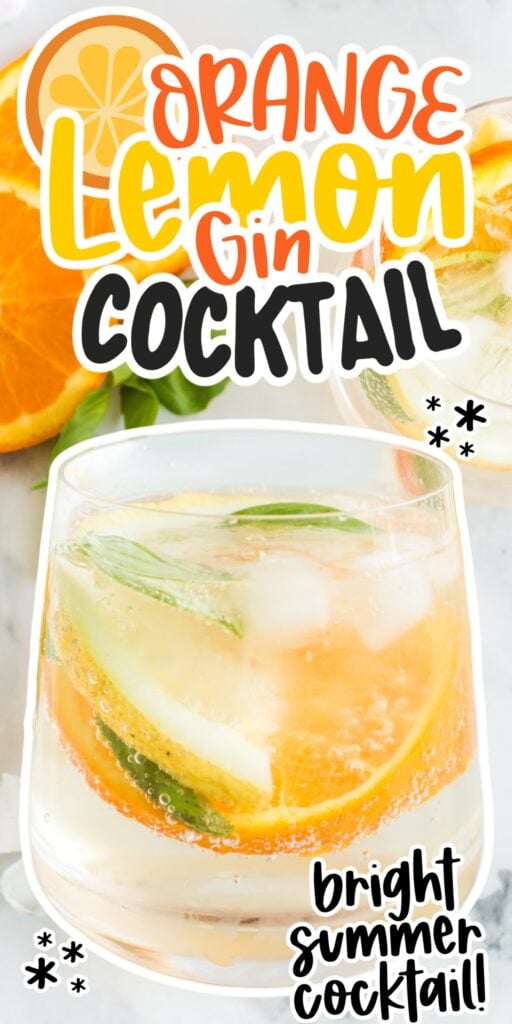 Orange Gin Cocktail with text overlay.
