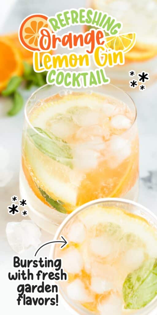 Two Orange Gin Cocktails with text overlay.