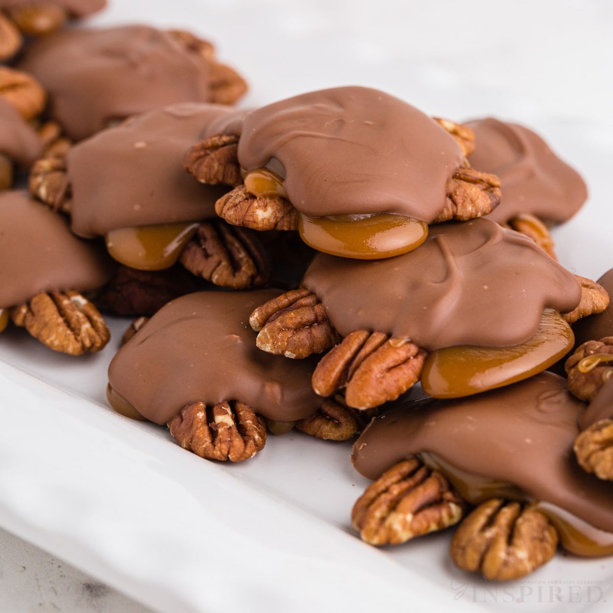 Turtles Chocolate Character