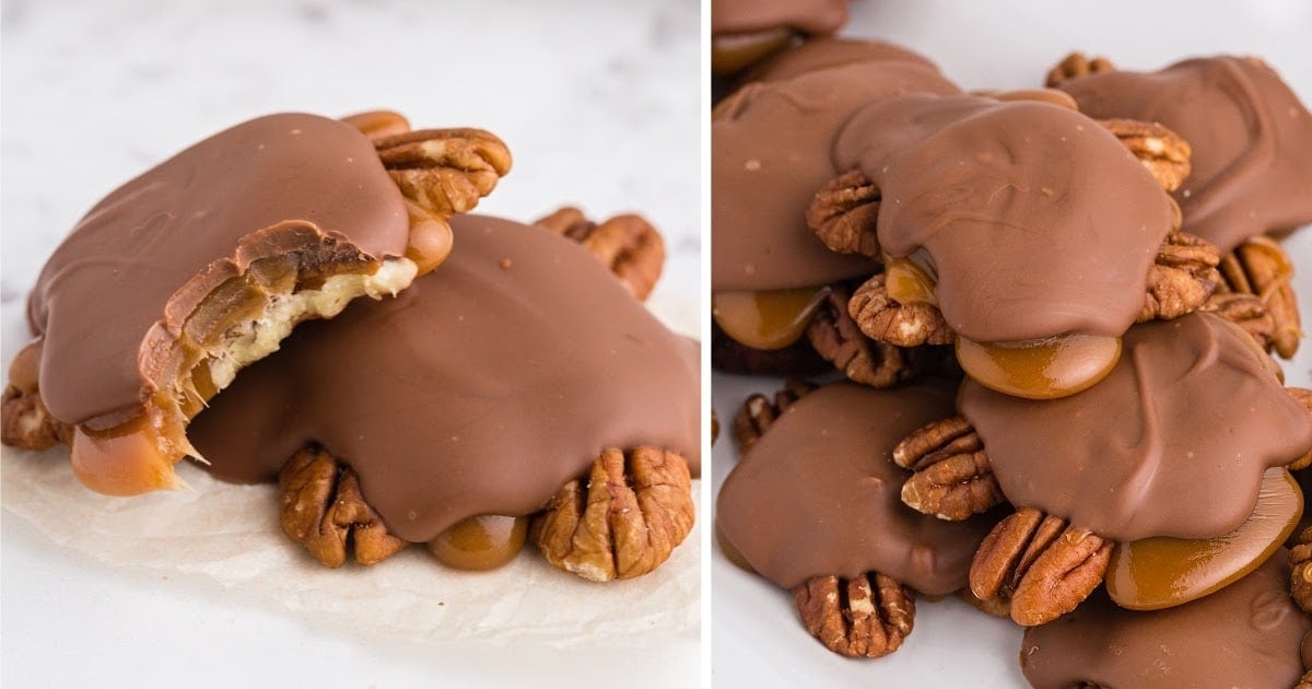 Chocolate Turtles - girl. Inspired.