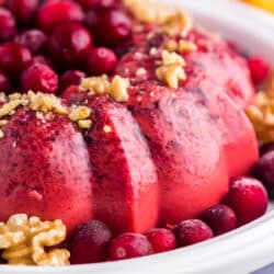 Close up of a Cranberry Jello Salad.