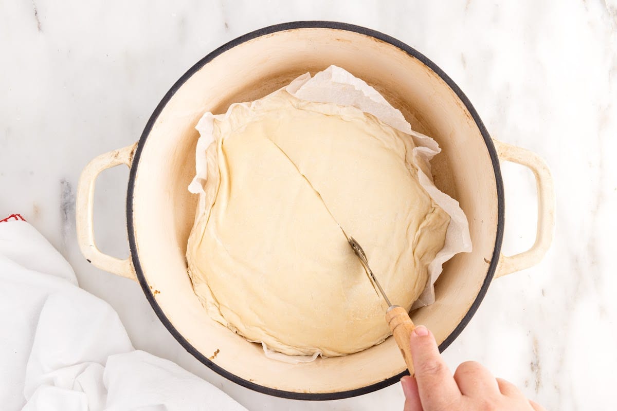 Fully raised dough ball being scored on the top before baking.