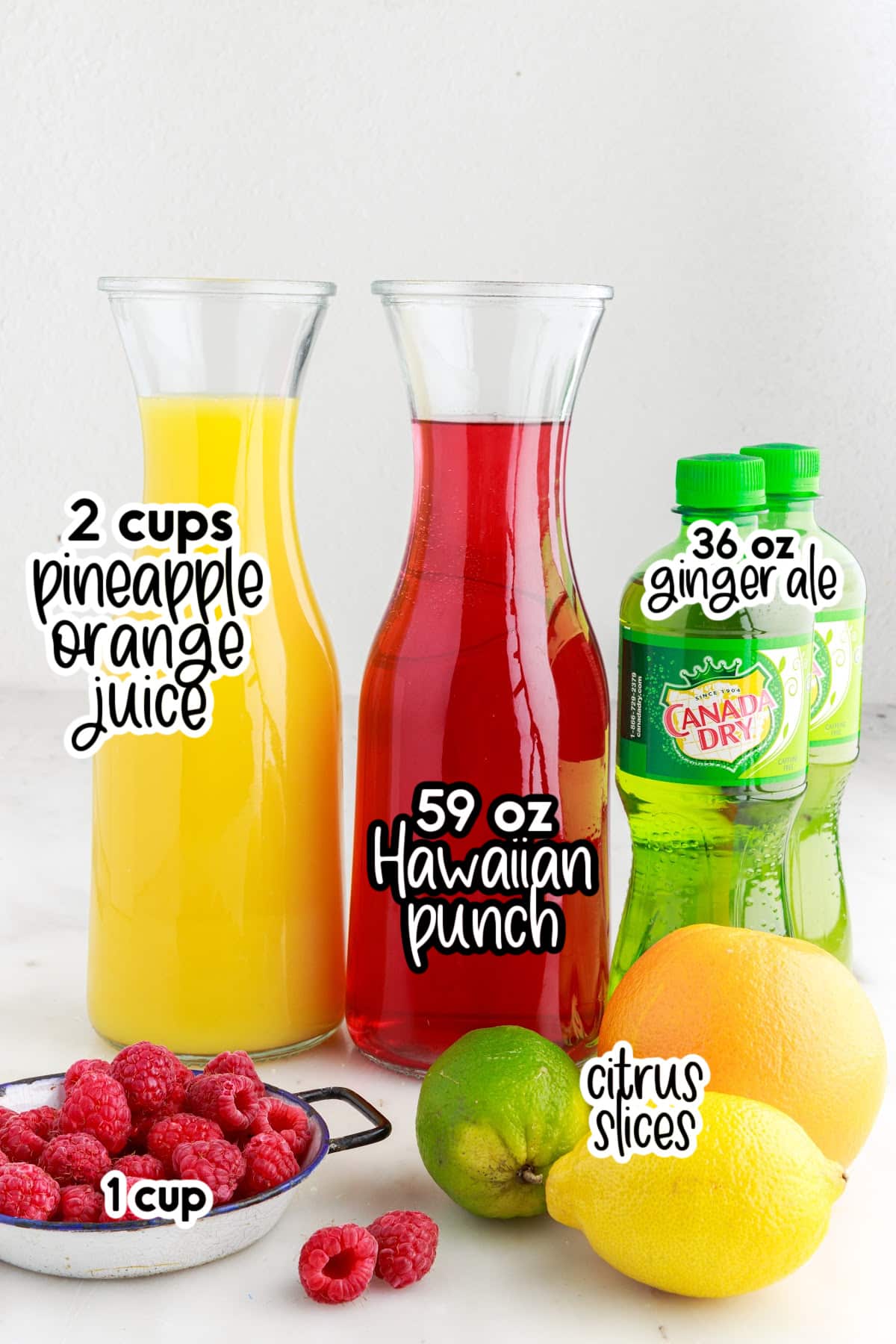 Individual ingredients set out for the party punch recipe, with text overlay.