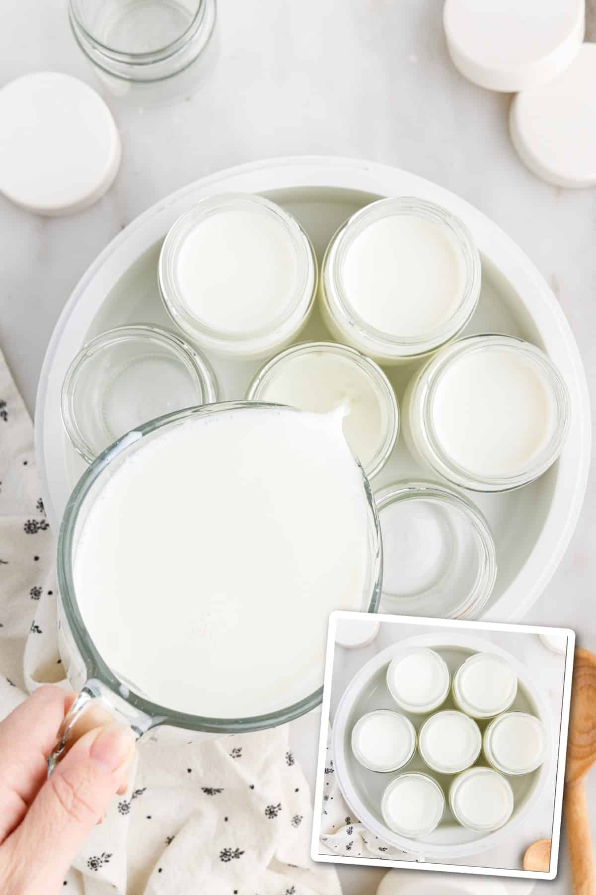 Milk mixture poured into individual yogurt jars.