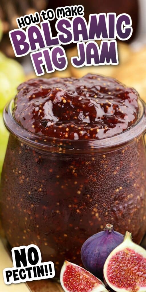 Balsamic fig jam pin image.